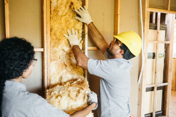 Insulation Replacement Services in Strathmore, CA